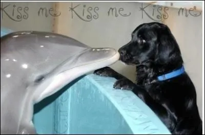 Si ce n'est pas dj fait, j'espre que cet extrait vous aura donn envie de lire la suite, que comme moi vous ...