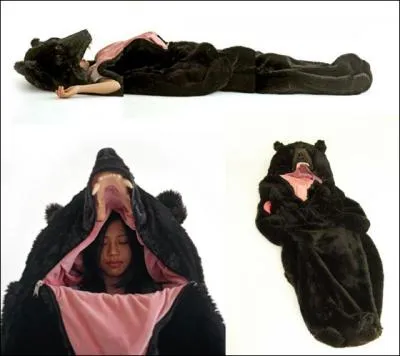 Vous plairait-il, ce sac de couchage que peu de monde vous piquera ? Les petits futs le croiront sorti du conte... ?