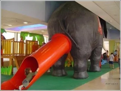 Euh... on se demande vraiment pourquoi le concepteur de cet lphant toboggan n'a pas plutt pens... ?