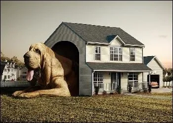 J'ignore si la photo est truque ou non, mais avouez que cela a du style ! Voici la niche qui pourrait tre utilise pour les corgis de ?