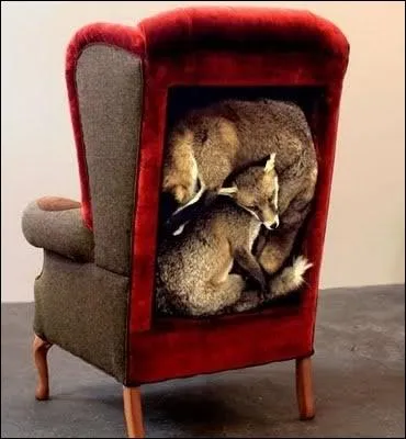 Voici un fauteuil d'un got douteux, cr par un designer, dont on pourrait penser qu'il ferait un cadeau appropri pour ?