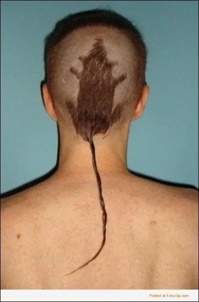 Ah l'art d'associer sa coiffure et son amour des animaux ! Quelle profession ne pourrait pas porter cela sans risque ?