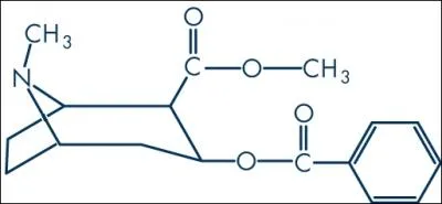 C'est un Psychotrope, et un puissant stimulant du systme nerveux central, et sa consommation est addictive. Elle constitue galement un vasoconstricteur priphrique
