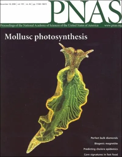 Cet animal aussi sait faire des conomies puisqu'il  marche   l'nergie solaire ! Comment s'appelle-t-il ?