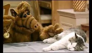 Quel est cet animal ?