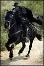 De quelle couleur est le cheval noir de Zorro ?
