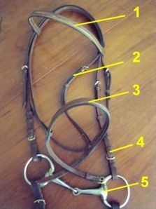 Quiz Galop 2