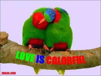 Quel nom porte ce film de 1985 où l'on retrouve Lambert Wilson et Charlotte Valandrey ?