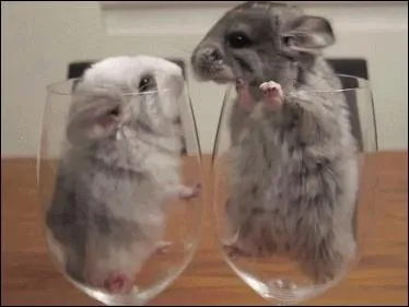 En argot, en dehors d'un baiser, que signifie le mot "galoche" ?