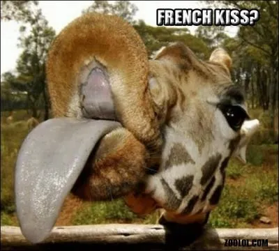 Que signifie cette expression : French kiss ?