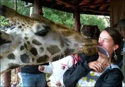 Tiens, pour la peine, je vous en remets ...