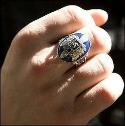 De quoi est orne leurs chevalires ?