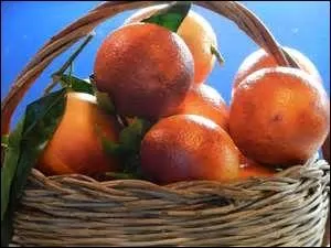 Quels critres vous font reconnatre une orange de bonne qualit ?