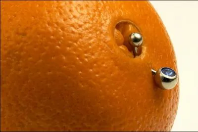 Comment va-t-on reconnatre l'orange Navel ?