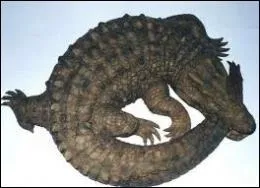 Lorsqu'on entre dans un cercle vicieux ou dans une succession de problèmes interdépendants dont on ne voit pas la fin, on dit c'est : "Le ----------- qui se mord la queue".