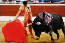 Dans une corrida, lorsque la prestation d'un matador a été appréciée par le public, il se voit décerner une récompense. Laquelle de ces parties anatomiques du taureau ne constitue pas un trophée ?