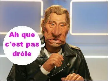 Pour Johnny, quel instrument de musique peut être « à queue » ?