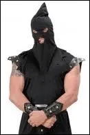 L'idée de décapiter un eunuque est tellement absurde qu'on peut affirmer que c'est un châtiment "sans queue -------------".