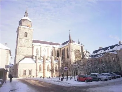 La ville de Remiremont dont la spcialit est un petit gteau en pain d'pices appel nonnette est situe dans :