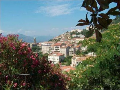 Sartne, o vous admirerez le pittoresque vieux quartier du Petraghju se situe dans :