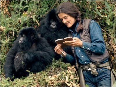 A quelle chanson vous fait penser cette image, qui reprsente Dian Fossey, zoologue ?