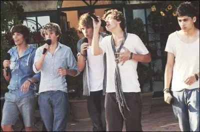 Quand le groupe des 1D s'est-il formé ?