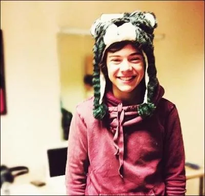 Quel est le nom complet de Harry ?