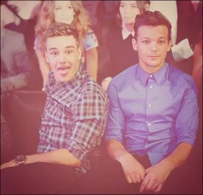Comment s'appelle la bromance, Louis et Liam ?