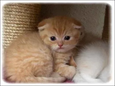 Reconnaissez-vous celle-l ?