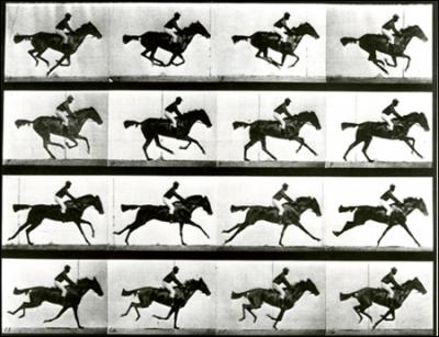 Eadweard J. Muybridge est clbre pour son tude du mouvement des chevaux. Parmi les affirmations ci-dessous, lesquelles sont vraies ?