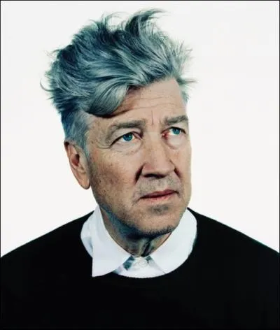 Gus Van Sant et David Lynch. Parmi les affirmations ci-dessous, lesquelles sont vraies ?