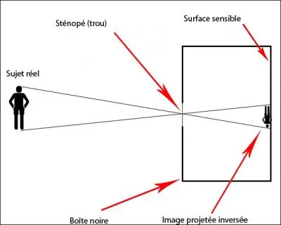 Le stnop est le procd photographique le plus simple : une bote noire dans laquelle on perce un trou, un film pos dans la face interne oppose. Quelles affirmations sont vraies ?