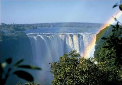 Quel fleuve forme les chutes Victoria ?