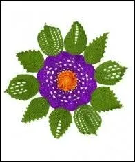 Langue de boeuf, suis-je une fleur ?