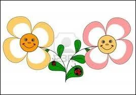 Fuligos roses, sommes-nous des fleurs ?