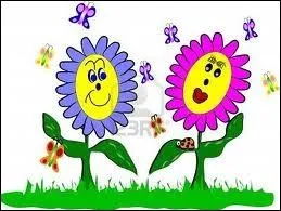 Vesse de loup, suis-je une fleur ?