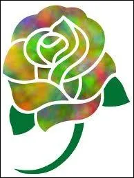 On me nomme Oreille de souris, suis-je une fleur ?