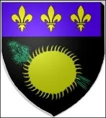Quel est ce blason ?