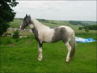 Qu'est-ce que l'entier ?