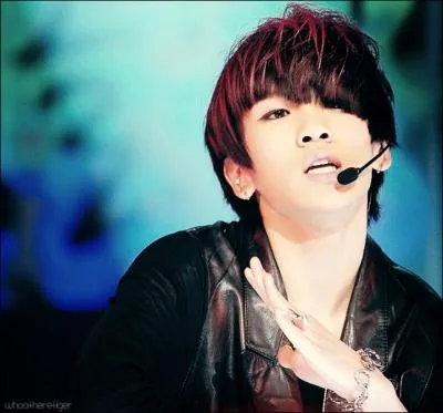 A quel groupe appartient cette personne ?