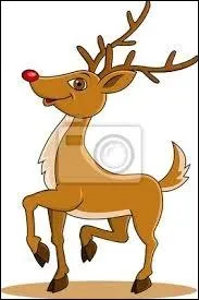 Oeil de biche, me classez-vous parmi les pierres ?