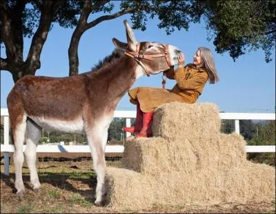 Et quelle est la taille maximale ?