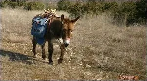 Combien de kilos un �ne peut-il porter ?