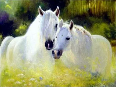 Quelle est cette robe ?