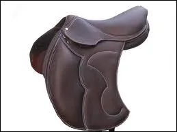 Le mot commence par : Ca ...