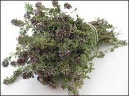 Le mot commence par : Ca ...