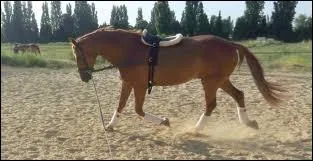 On dbute une diagonale ...