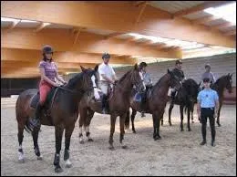 Quand on monte en reprise, entre deux chevaux, il faut une distance ...