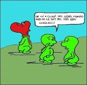 Comment la gntique explique-t-elle les variations morphologiques au sein d'une mme espce ?