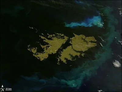 Qu'appelle-t-on phytoplancton ?